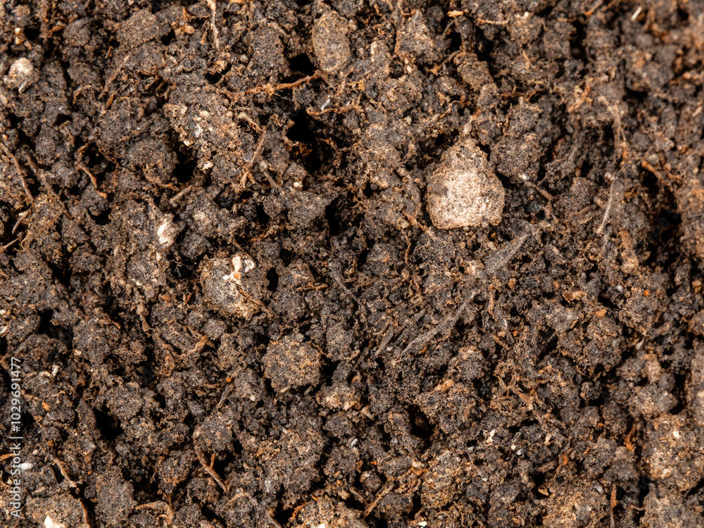Poster the texture of the soil. macro view