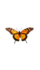 Fototapeta premium butterfly408 isolated with white highlights, png