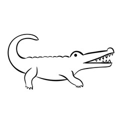 Crocodile