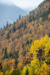 L'acropole des Draveurs pendant l'été indien au Quebec au Canada