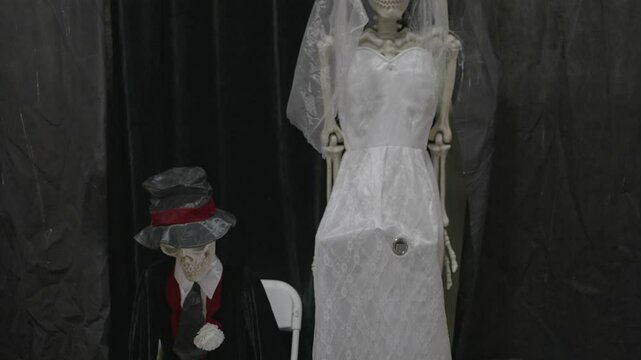 This video shows skeletons dressed as bride and groom against a black background.