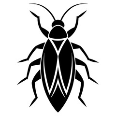 Cockroach High Quality Illustrations and Images for Pest Control and Educational Projects