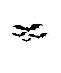 bat and bats