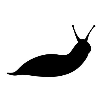 Slug silhouette vector art, isolated white background