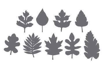 Fall Leaves, Fall Leaves vector, Paper cut Fall Leaves SVG cut file