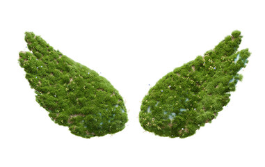 concept of green eco nature natural environment sustainability with angel wing isolated on white background 3d element icon