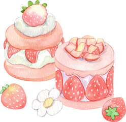 strawberry and whipped cream cake, round pound strawberry cake, and fresh red strawberries, strawberry festival, hand-drawn watercolor illustration