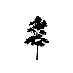 Fototapeta premium Tree silhouette 