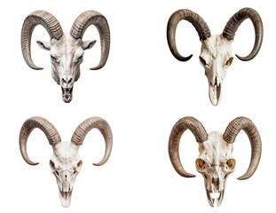 Collection of goat skulls isolated on transparent background