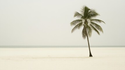 Obraz premium Lonely Palm Tree on a Tropical Beach