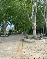 Obraz premium statue in the park