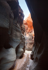 Hiking inside famous Buckskin Gulch canyon, walking by wet mud footpath between narrow red rock sandstone canyon walls