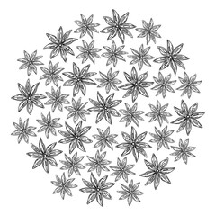 Outline hand drawn Star Anise. Herbs and Spices Day Circle Decorative background texture. Isolated