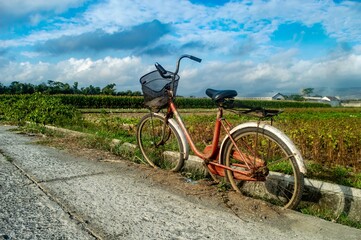 Fototapeta premium An old red bicycle with a basket is parked on a rural roadside, with lush green fields and a blue sky in the background