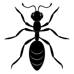 ant silhouette vector isolated on a white background