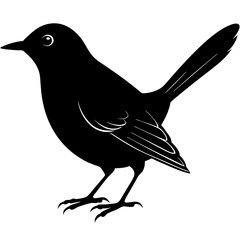 Gray Catbird Silhouette art with white background