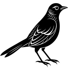 Gray Catbird Silhouette art with white background