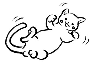 かわいい遊ぶねこ