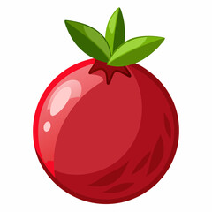  Pomegranate vector illustration 