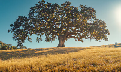Fototapeta premium Dreamlike Landscapes and Mystical Gardens with Vibrant Flowers and Glowing Nature