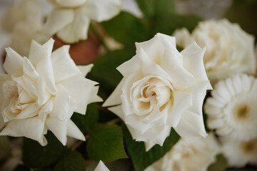 A bouquet of white roses and daisies. The roses are the main focus of the image, with their white petals and green stems. The daisies are smaller and more spread out