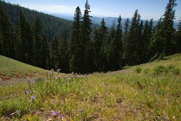 View of Cascade Mountain Range wreathed in clouds from a high vantage point on Mt Hood, replete...