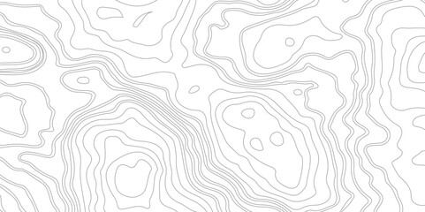 Topography background. Vector banner. Topography background. Vector geographic contour map. Background of the topographic map. Topographic map