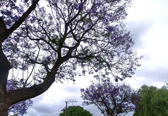 Park in Adelaide, South Australia
