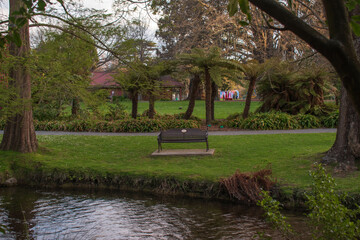 Peaceful park scene with a wooden bench