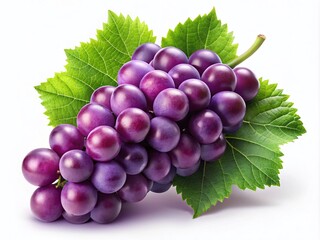 Fototapeta premium Decorative Grape Logo for Food Packaging - Monogram of Purple Grapes with Stem and Leaf Design