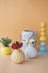 Obraz premium Explore Vibrant and Colorful Decorative Vases and Beautiful Plants for Modern Home Decor