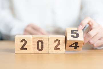 2024 change to 2025 year block on table. goal, Resolution, strategy, plan, start, budget, mission,...