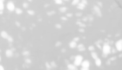 Shadow of leaves tree plant overlay on white wall. Sunlight effect shadow on the wall. Minimal blurred backdrop backgrounds. Summer tropical surface background.