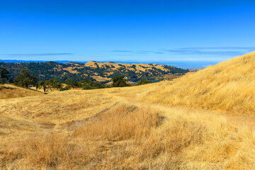 A dirt hiking trail leads through the golden grasslands of Halls Valley in Joseph D. Grant County...