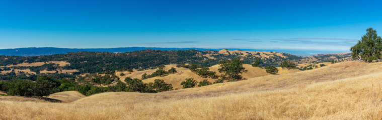 A panoramic view of the rolling hills and valleys of Joseph D. Grant County Park blending golden grass, green trees, and distant mountains beneath a clear sky
