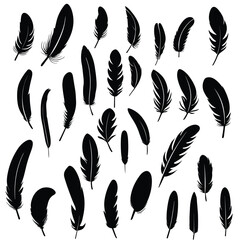 Silhouette Feathers Illustration