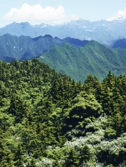 Obraz premium Breathtaking mountain landscape featuring lush greenery and distant peaks under a clear blue sky, perfect for nature lovers.