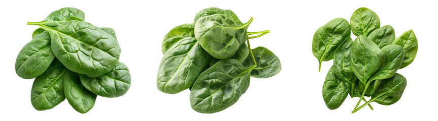 Obraz premium Fresh spinach leaves isolated on transparent PNG, perfect for healthy meal illustrations and vegetable packaging designs
