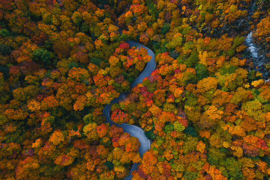 Scenic Stowe Vermont Fall Foliage Forest Road. Curved Road in New England Famous Viewpoint Aerial Drone Birds Eye View Autumn Season Smuggler's Notch