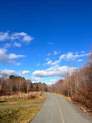 A trail in the forest