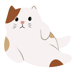 it's About Cat