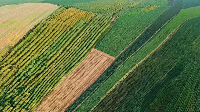 An aerial view of a farm showing variable-rate technology in action, with different colors indicating areas of fertilizer and water application