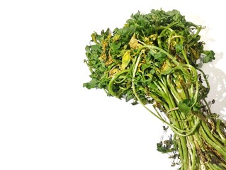 Wilted vegetables in yellowish green color isolated on white background 