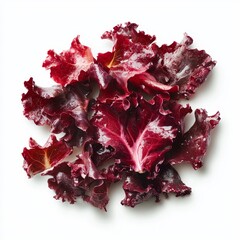 3D illustration of red lettuce
