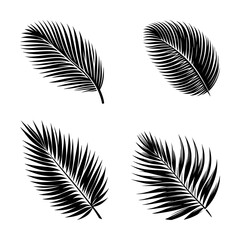 Obraz premium vector set of coconut or palm leaves silhouette icon (artwork 2)
