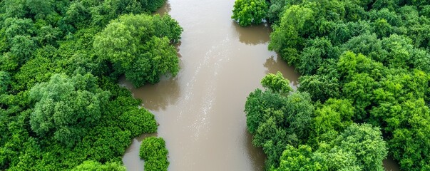 Enhancing Flood Resilience: Aerial Views of Natural Barrier Installation in Flood-Prone Zones