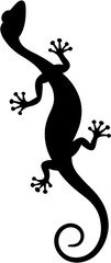 Fototapeta premium silhouette of a lizard
