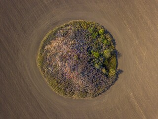 aerial view from above of an ancient burial mound covered with bushes with dark blue ripened...