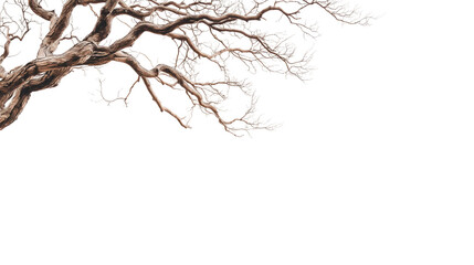 Obraz premium Intricate Black and White Drawing of a Tree Branch with Detailed Twists