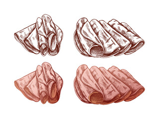 Hand-drawn colored and monochrome vector sketch of  pork meat, ham slice, prosciutto vintage sketch. Butcher shop.